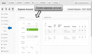 expense account